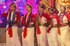 A Nyisi (Nishi) Folk Dance by the Nishi Cultural Troupe of Tawang.