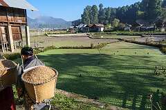 Farm fields near the rice barn in Tajang Village.