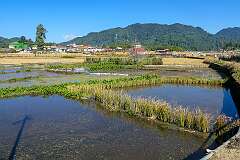 View of Apatani farm fields near the rice barn in Tajang.