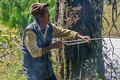 Millo Nyime shooting a small arrow from a bow, in both directions for men and women in a Danyi Piilo (Donyi Polo) ritual.