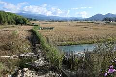 A view of the Ziro valley near Old Ziro.
