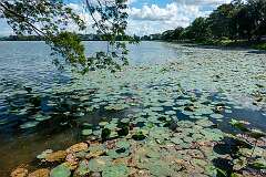 View to Joysagar tank from the northwestern shore.