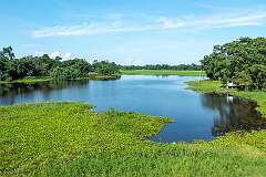 View at Doriya Gaon on the island of Majuli.