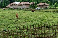 Farm houses at Dambukial, North Lakhimpur, near White Sand Beach.