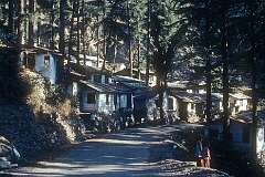 Road along a forest in McLeod Ganj, a suburb of Dharamshala and known as “Little Lhasa” or “Dhasa” because of its large population of Tibetans.