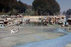 Houseboats along the creek near Dal Lake.
