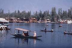 “Shikaras”, paddled boats serving as water-taxis to the houseboats on Dal Lake.
