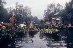 The floating market of Srinagar.