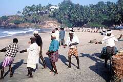Pulling in the fishing net on the beach in Kovalam.