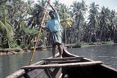 A tour in the back waters near Kovalam, in the far south of Kerala.