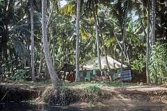 A house in the jungle, during a tour in the back waters near Kovalam.
