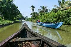 In a canoe on the backwaters, Kodamthuruth, near the Changaram Wetlands, 16 kilometres south of Kochi.