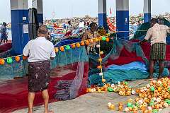 Fishing net repairs, at the Chellanam Fishing Harbour.