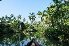 Cruising the backwaters at Munroe Island, north of Kollam.