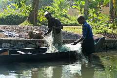 Fishermen with their net on the backwaters at Munroe Island.