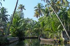 Boats on the backwaters of Munroe Island.