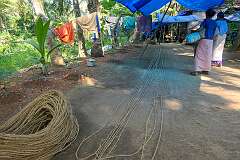 Women making coir ropes from coconut fibres on Munroe Island..