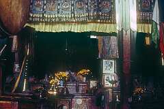 The altar in the main Assembly Hall in Rizong Gompa.
