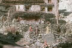 A village near Hemis Gompa.