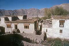 View from the flat roof of neighbours' houses in Leh.