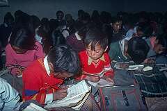 Children in class, writing in Hindi, Lamdon Model School.