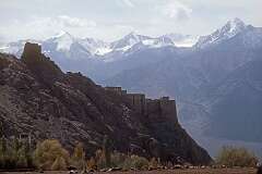 View to Leh Khor Palace and Namgyal Hill, with monasteries seen from just the outskirts of Leh.