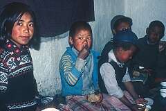 Tibetan refugee children having lunch inside, the SOS Tibetan Children's Village in Choglamsar.