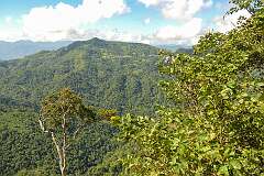 View from a viewpoint on the Reiek road, looking west.
