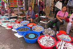 Selling fish in the T-Khel Daily Market.