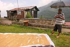 Drying rice on the top of the Angami Naga village of Khonoma.