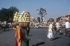 Carrying baskets of cauliflower on a square in Jaipur.