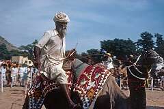 A participant in the camel race at the festival in Pushkar.