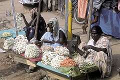 Women selling flower garlands on the street in Thanjavur (Tanjore).