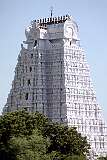 The richly carved white “gopuram” or tower at the eastern entrance of the Sri Rangathaswamy Temple in Srirangam; it is on a large island bounded by the Kaveri River and Kollidam River.