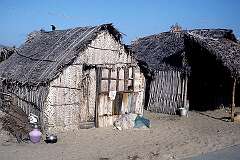 Palm leaf huts in Dhanushkodi; the town was destroyed in the cyclone of 1964.
