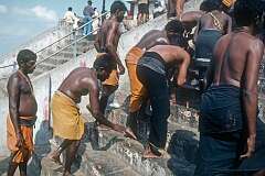Devotees on the steps leading to the Arulmigu Dhandayuthapani Swamy Temple (Malai Kovil).