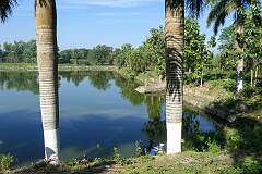 Kamala Sagar, Jooth lake, a “tank” (artificial pond) at the border with Bangladesh, about 27 kilometres from Agartala. It was dug by king Dhanya Manikya (1490–1520).
