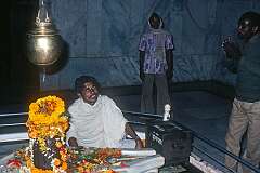 A priest at a lingam in the Shri Vishwanath temple on the Banaras Hindu University campus.