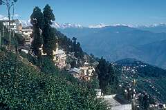 Darjeeling houses on the hill slopes, with the Himalaya as a backdrop.