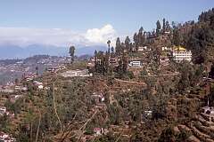 View from the Toy Train to Ghoom (Ghum), 8 kilometres south of Darjeeling.