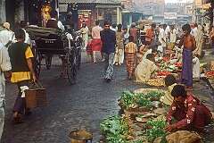 Selling vegetables along Lindsay Street in the New Market Area, Kolkata.