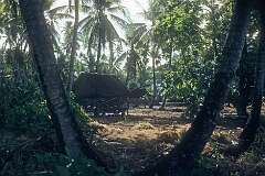 In Tuarabu village, in the souteast of Abaiang atoll.