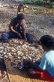 Snappy Arawatau and his wife wife Marlyna getting copra from coconut shells, Tuarubu.