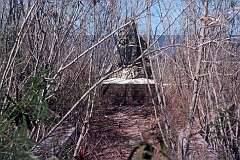 The monument for Sir Albert Ellis, who discovered phosphate deposits on Nauru and Banaba.