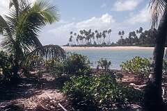 View from the islet of Buota to Abatao, North Tarawa.