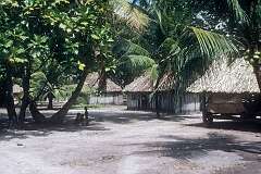 In the village on Tabiteuea, a small islet of North Tarawa.