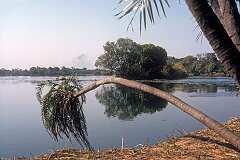 The Zambesi River before Victoria Falls, on the border of Zimbabwe and Zambia.