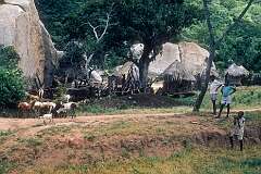 The village of Bikita, about 80 kilometres east of Masvingo.
