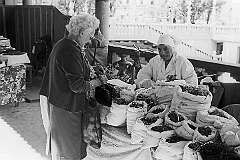Ljubljana, Slovenia - At the herbal market near the Tromostovje (Triple Bridge).