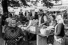 Zagreb, Croatia - Dolac market, the vegetable market on the square, then named Trg Vladimira Ilića Lenjina.
